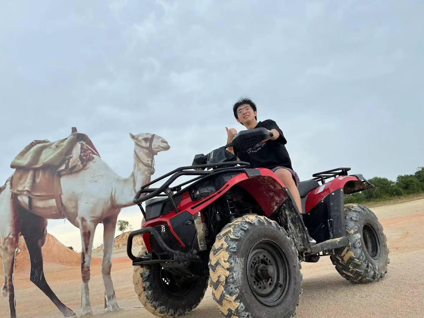 A person sitting on a red ATV beside a camel cutout on sandy terrain.