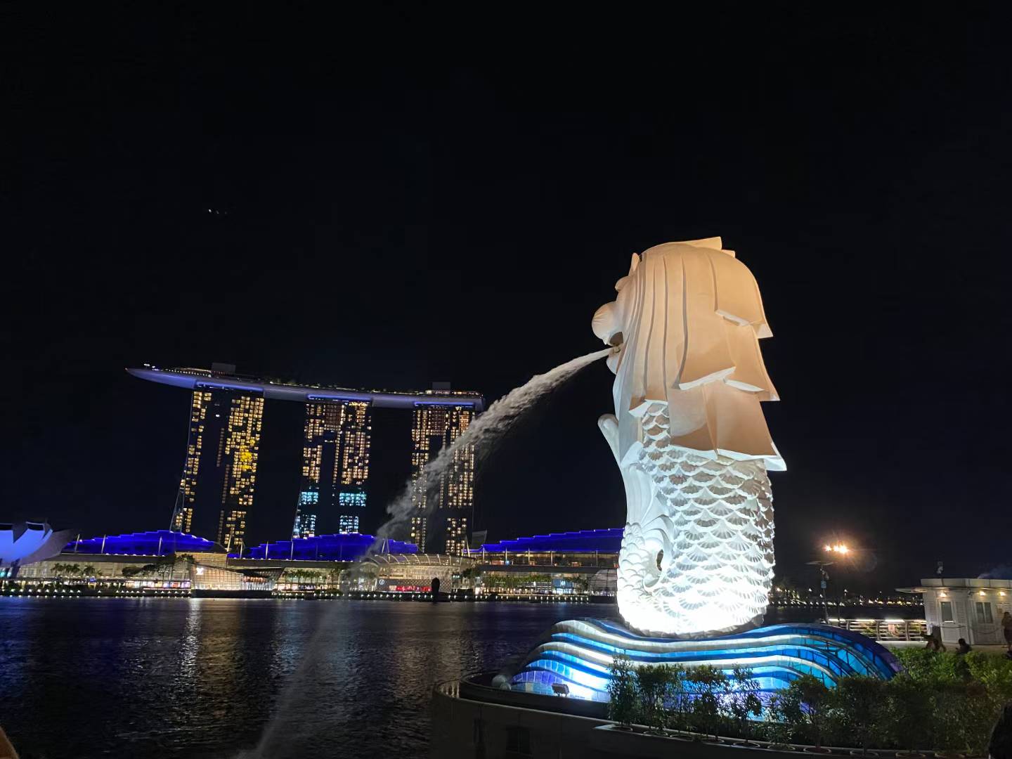 The illuminated Merlion at night with Marina Bay Sands across the water.